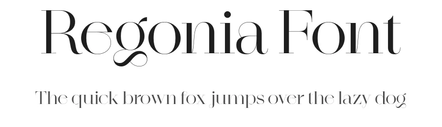 Regonia Font by Narrow Type — Serif Font