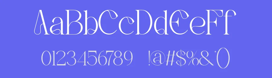 Reichi || Modern Classy Serif Font by ErmediaStudio — Display Font — thumbnail 3