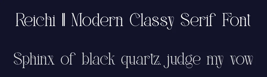 Reichi || Modern Classy Serif Font by ErmediaStudio — Display Font — thumbnail 2