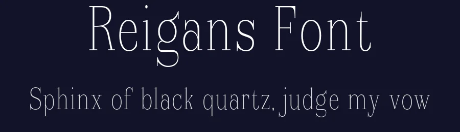 Reigans Font by Mantype Studio — Serif Font — thumbnail 2