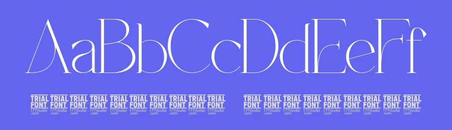 Remade Academies – Luxury Serif Font by 177Studio — Display Font — thumbnail 3