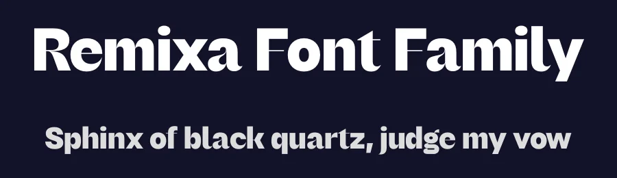 Remixa Font Family by Narrow Type — Serif Font — thumbnail 2