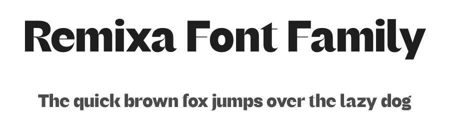 Remixa Font Family by Narrow Type β Serif Font