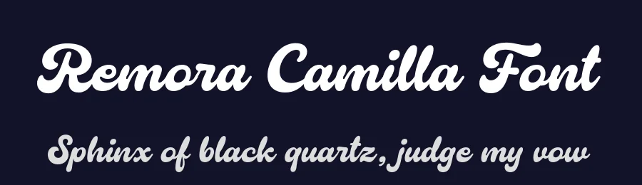 Remora Camilla Font by grezlinestudio — Script Handwritten Font — thumbnail 2