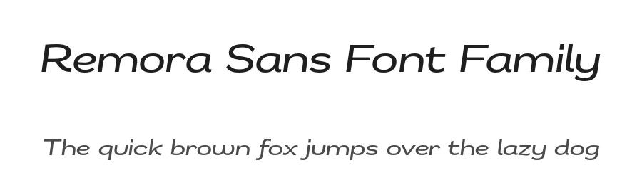 Remora Sans Font Family by G-Type — Sans Serif Font