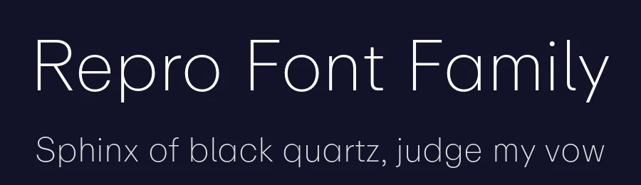 Repro Font Family by Erkin Karamemet — Sans Serif Font — thumbnail 2