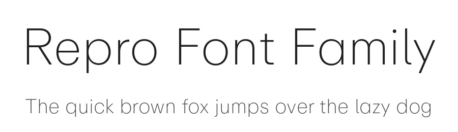 Repro Font Family by Erkin Karamemet — Sans Serif Font