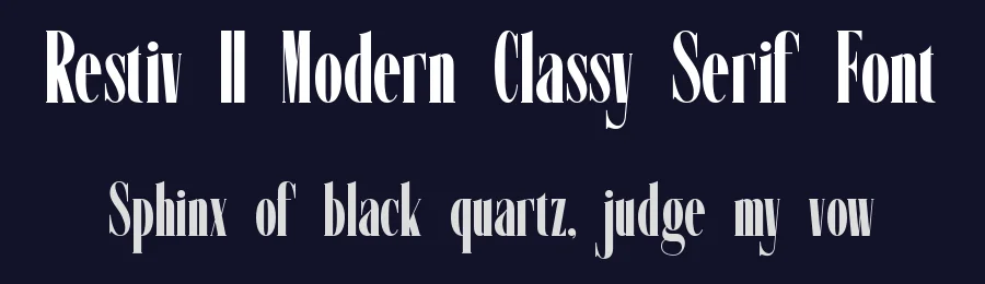 Restiv || Modern Classy Serif Font by ErmediaStudio — Display Font — thumbnail 2