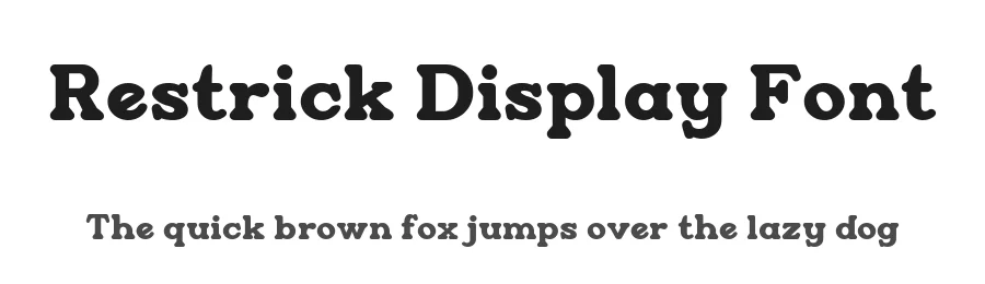 Restrick Display Font by ZetDesign — Display Font