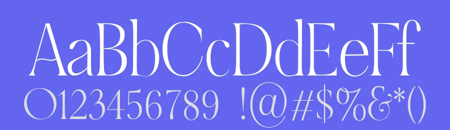 Revansa Font by Dantype — Serif Font — thumbnail 3