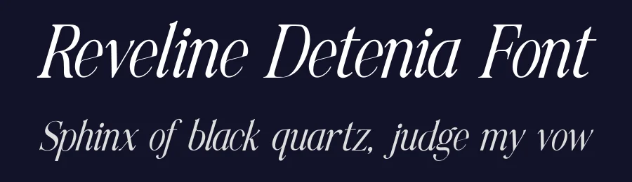 Reveline Detenia Font by Lettermine — Serif Font — thumbnail 2