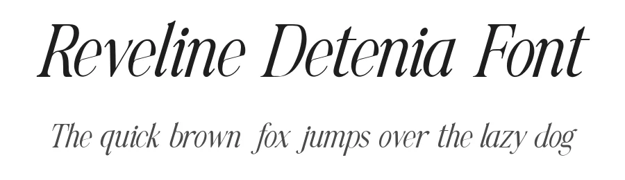 Reveline Detenia Font by Lettermine — Serif Font