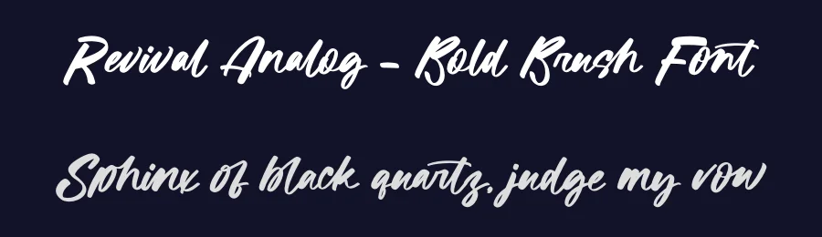 Revival Analog – Bold Brush Font by letterenastudios — Script Handwritten Font — thumbnail 2