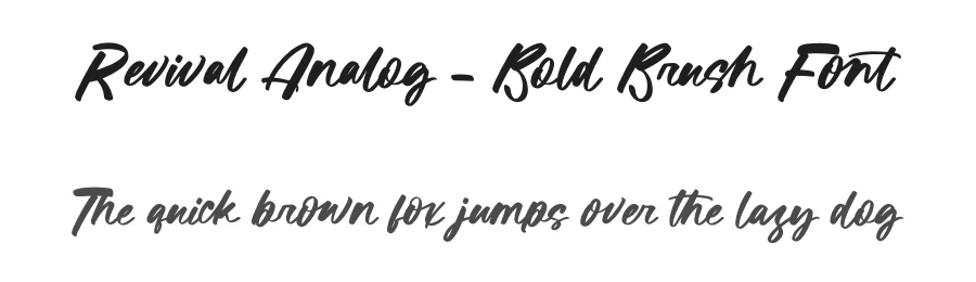 Revival Analog – Bold Brush Font by letterenastudios — Script Handwritten Font