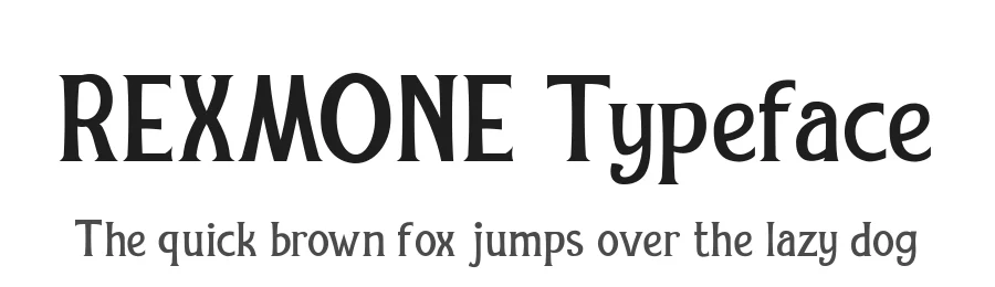 REXMONE Typeface by INKsTYPIA β Serif Font