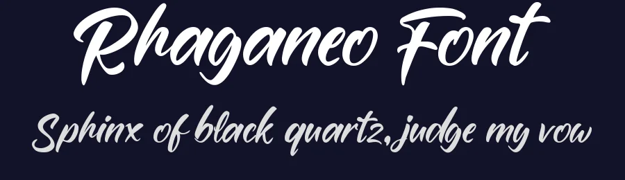 Rhaganeo Font by Lettermine — Serif Font — thumbnail 2