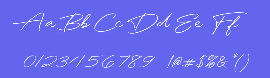 Rhetorical Flourish: An Elegant Script Font by letterhanna — Script Handwritten Font — thumbnail 3