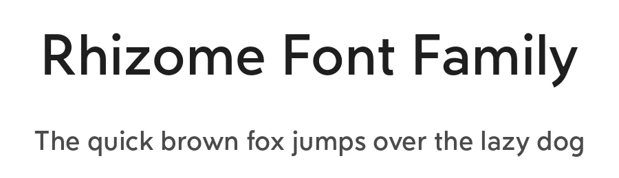 Rhizome Font Family by Road to Venice Type — Sans Serif Font