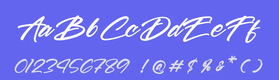 Rhythme Captured Font by Operatype.Co — Serif Font — thumbnail 3
