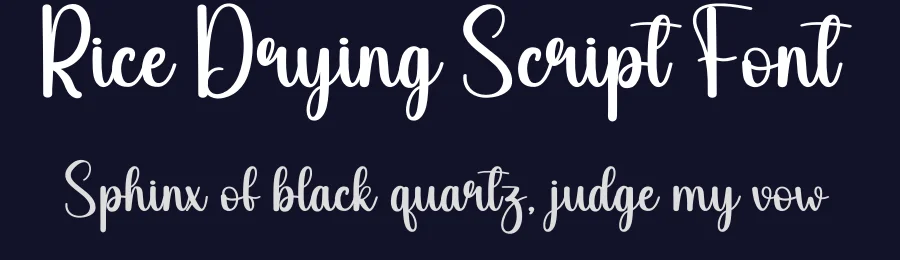 Rice Drying Script Font by andikastudio — Script Handwritten Font — thumbnail 2