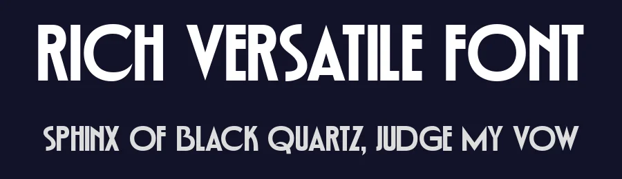 Rich Versatile Font by Prioritype Co — Display Font — thumbnail 2