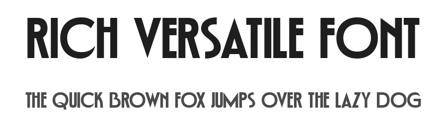 Rich Versatile Font by Prioritype Co — Display Font