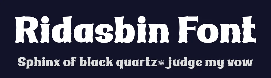Ridasbin Font by twinletter — Display Font — thumbnail 2