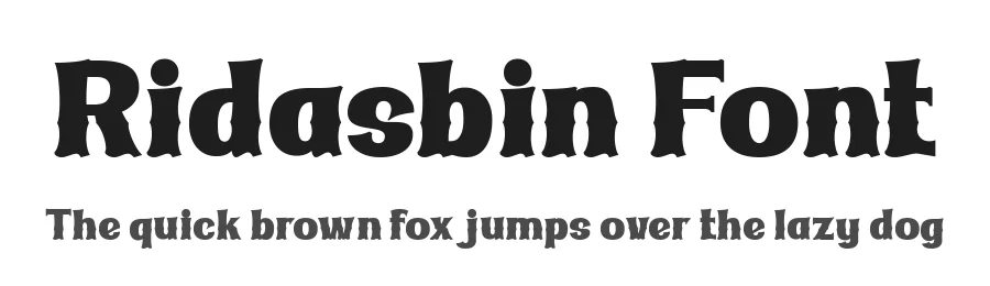 Ridasbin Font by twinletter — Display Font