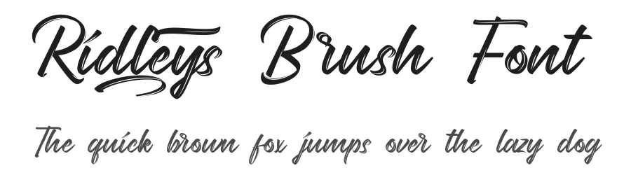 Ridleys Brush Font by CalligraphyFonts.net — Script Handwritten Font