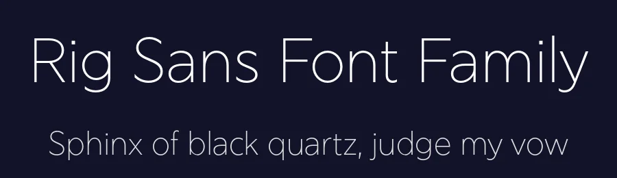 Rig Sans Font Family by Jamie Clarke Type — Sans Serif Font — thumbnail 2