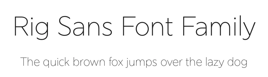 Rig Sans Font Family by Jamie Clarke Type — Sans Serif Font