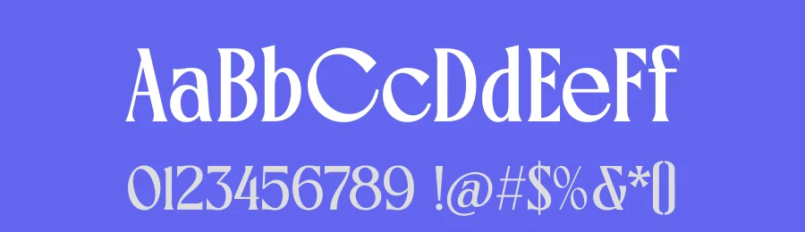 Rigflek – Serif Display Font by timelesstype.co — Display Font — thumbnail 3
