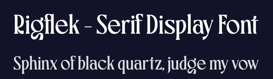 Rigflek – Serif Display Font by timelesstype.co — Display Font — thumbnail 2