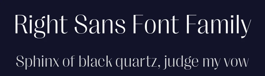 Right Sans Font Family by Alex Slobzheninov — Sans Serif Font — thumbnail 2