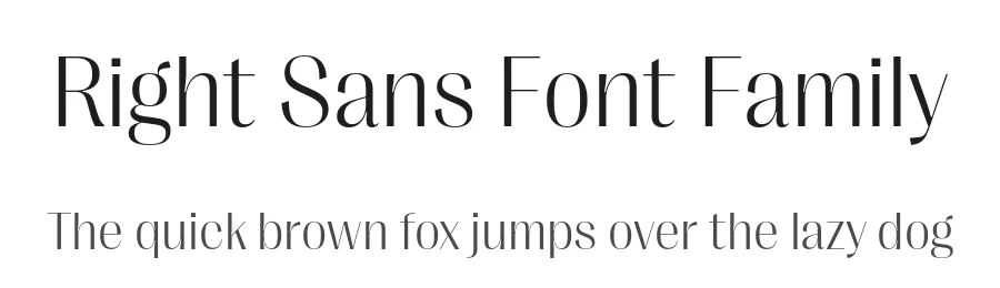 Right Sans Font Family by Alex Slobzheninov β Sans Serif Font