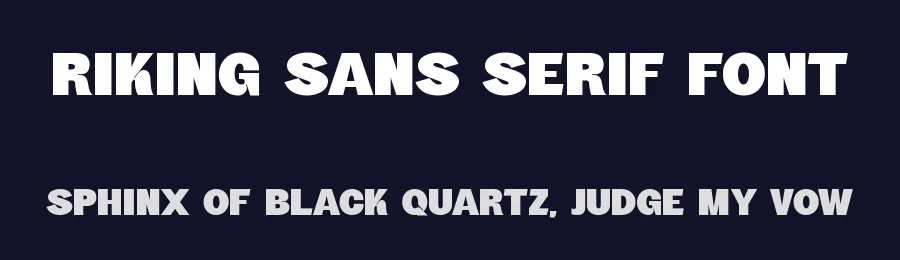 Riking Sans Serif Font by Graphicxell — Sans Serif Font — thumbnail 2