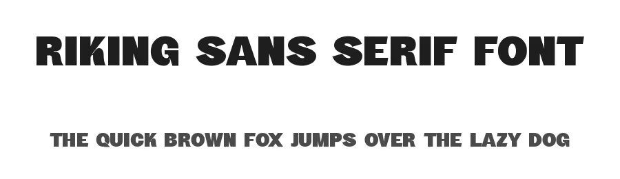 Riking Sans Serif Font by Graphicxell — Sans Serif Font