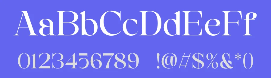 Rilashi Font by TypeLogue — Serif Font — thumbnail 3