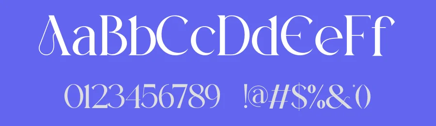 Rineka Serif Font by ErmediaStudio — Serif Font — thumbnail 3