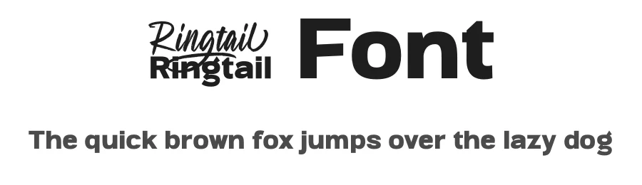 Ringtail Font by Din Studio — Sans Serif Font