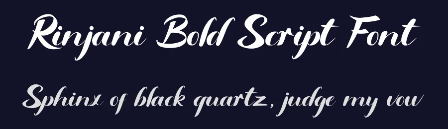 Rinjani Bold Script Font by Basnistudio — Script Handwritten Font — thumbnail 2