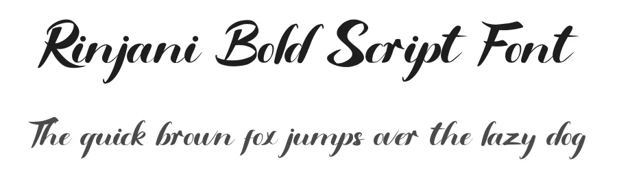 Rinjani Bold Script Font by Basnistudio — Script Handwritten Font