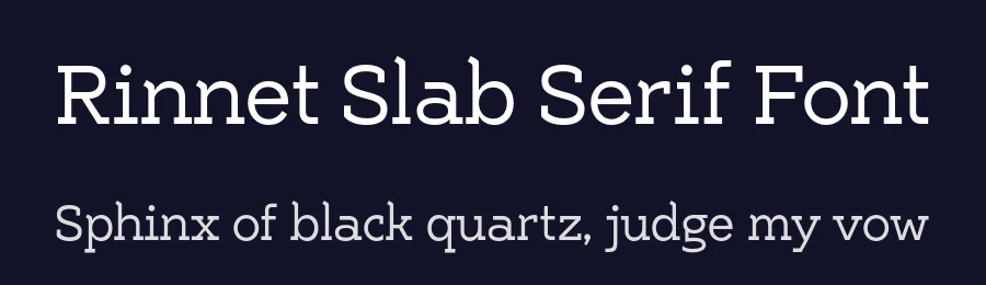 Rinnet Slab Serif Font by Tokotype — Slab Serif Font — thumbnail 2