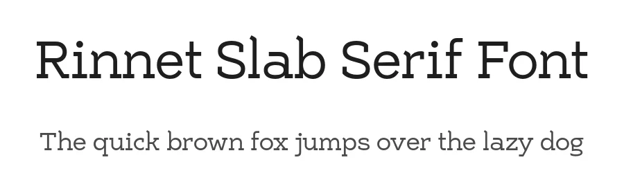 Rinnet Slab Serif Font by Tokotype — Slab Serif Font