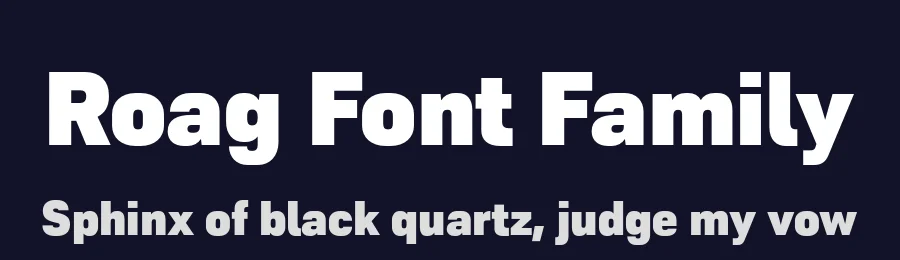 Roag Font Family by The Northern Block — Sans Serif Font — thumbnail 2