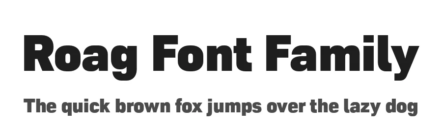 Roag Font Family by The Northern Block — Sans Serif Font