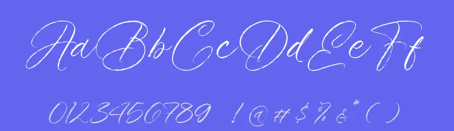 Roast Ritual Script Font by Operatype.Co — Script Handwritten Font — thumbnail 3