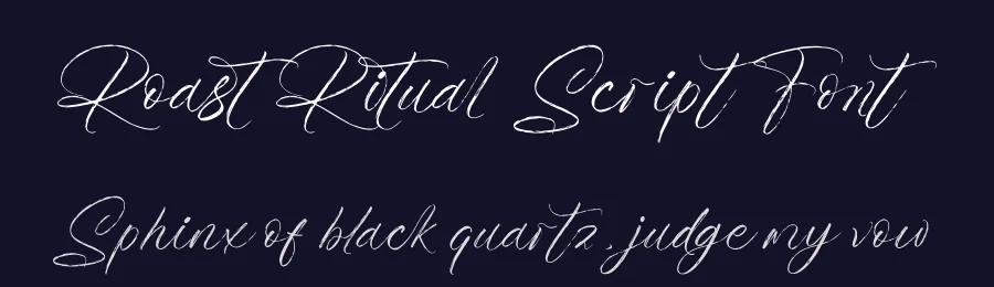 Roast Ritual Script Font by Operatype.Co — Script Handwritten Font — thumbnail 2