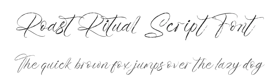 Roast Ritual Script Font by Operatype.Co — Script Handwritten Font