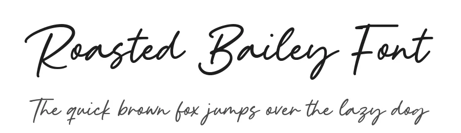 Roasted Bailey Font by Timur type — Script Handwritten Font